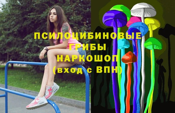 apvp Абаза
