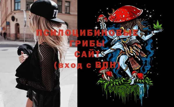 apvp Абаза