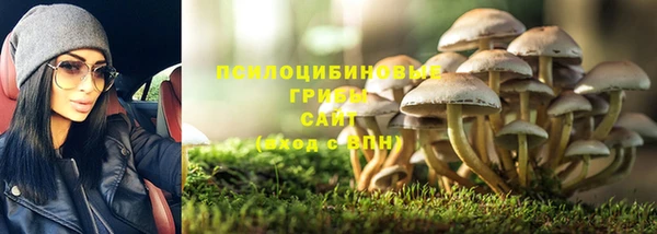 apvp Абаза