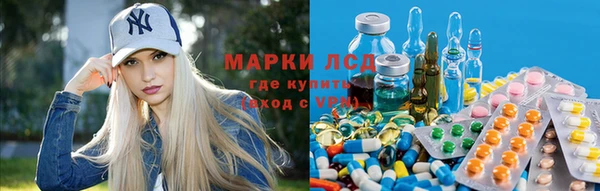 ПСИЛОЦИБИНОВЫЕ ГРИБЫ Алзамай