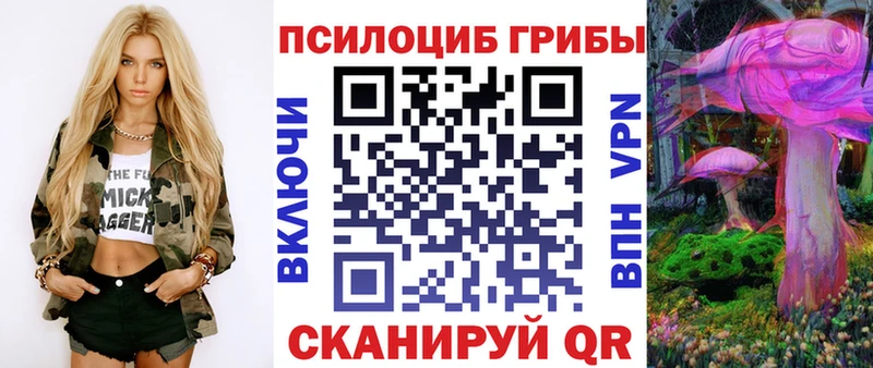 ссылка на мегу tor  Покачи  Галлюциногенные грибы мухоморы 